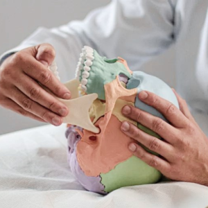 stomatologia, stawy skroniowo-żuchwowe